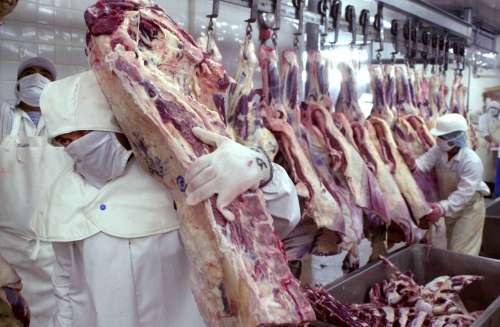 Lluvias e inundaciones provocan caída de exportaciones de carne