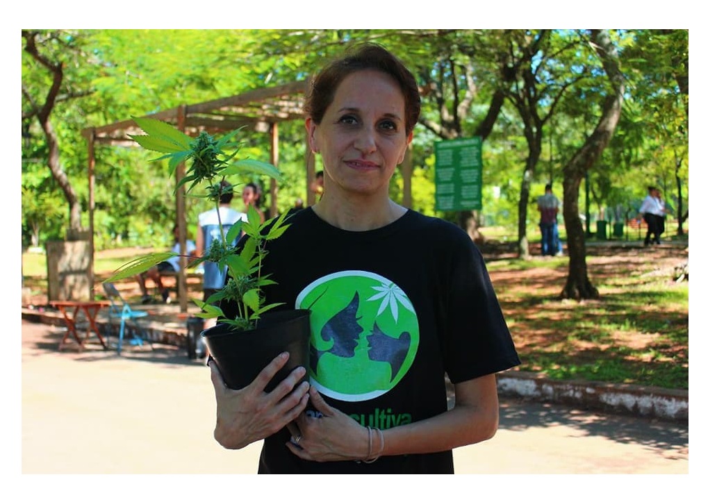 “Mamá Cultiva”, la organización que promueve la marihuana medicinal en Paraguay y ayuda a niños con epilepsia