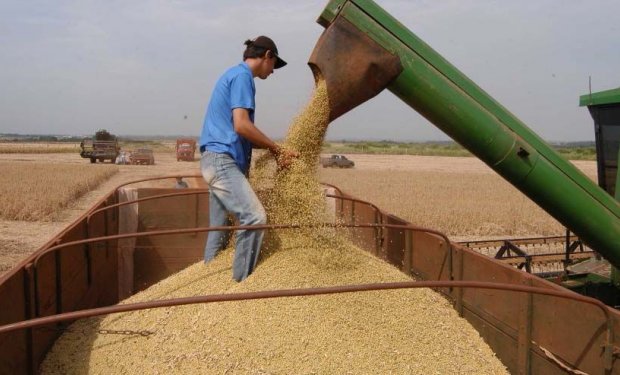 Senado rechazó aumento del impuesto a la exportación de soja