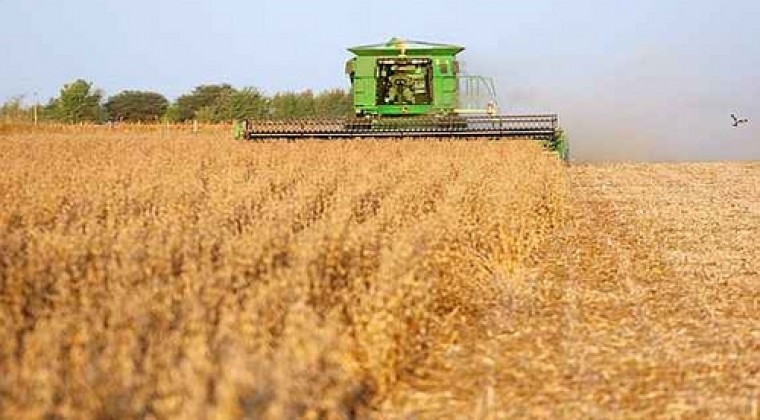 Tributación mira “lado positivo” tras rechazo a incremento de impuesto a exportación de soja