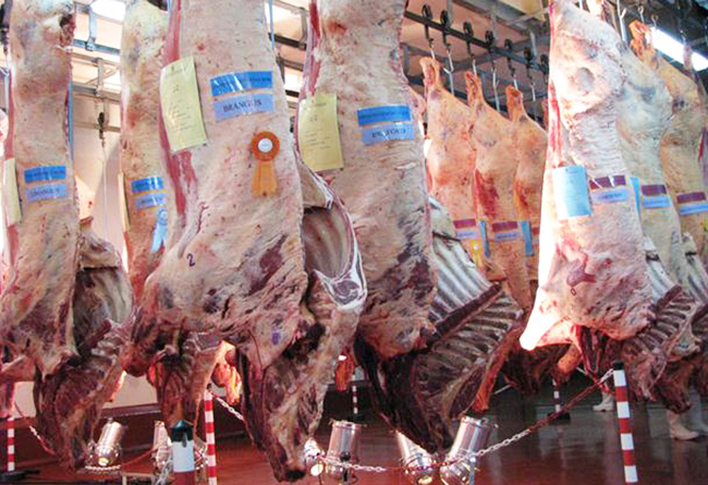 ARP buscará enviar 25.000 toneladas de carne a Unión Europea