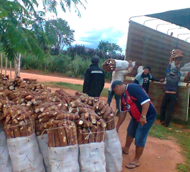 Productores de mandioca se manifiestan frente al MAG