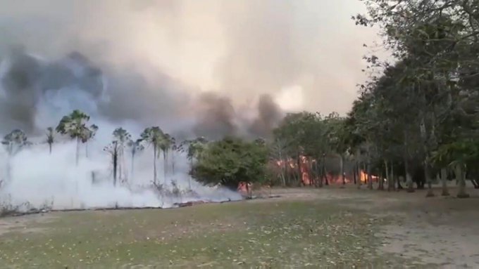 Controlan incendio en reserva del Pantanal Paraguayo