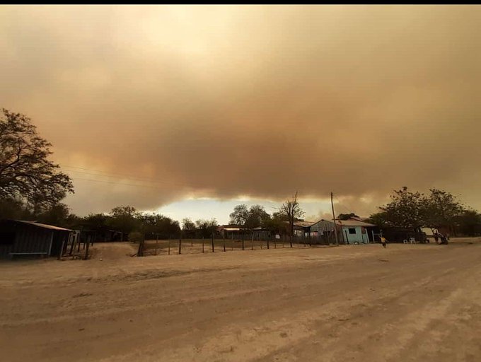 Desde la ARP preocupados por los incendios presuntamente provocados que buscan que hay crisis ambiental