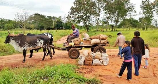 Campesinos sugieren a Gobierno inversión anual en tecnología en lugar de importar productos