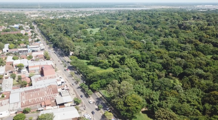 Más de 270 árboles del Jardín Botánico se verán afectados por obras de Corredor Vial