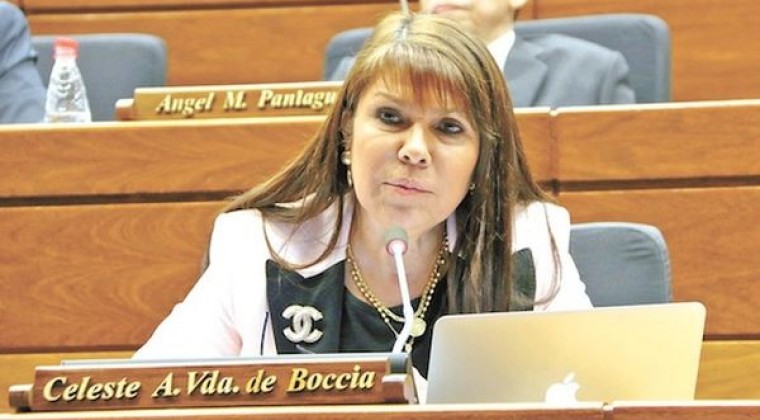 “El presupuesto que presentó Villamayor es inservible”, critica diputada