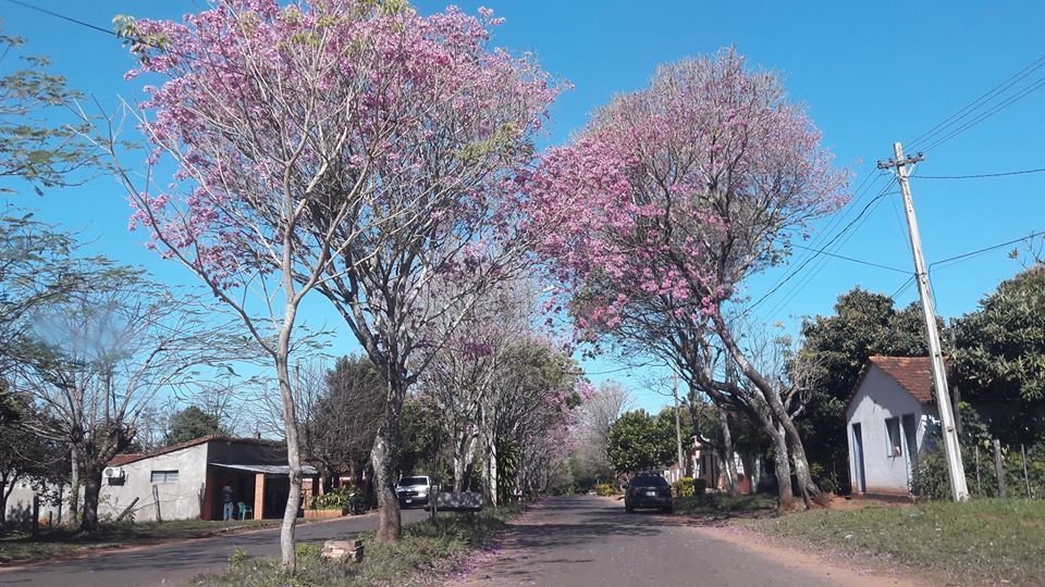 Anuncian domingo fresco a cálido y soleado