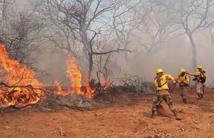 Fuertes vientos reavivan fuego en extremo norte del Chaco