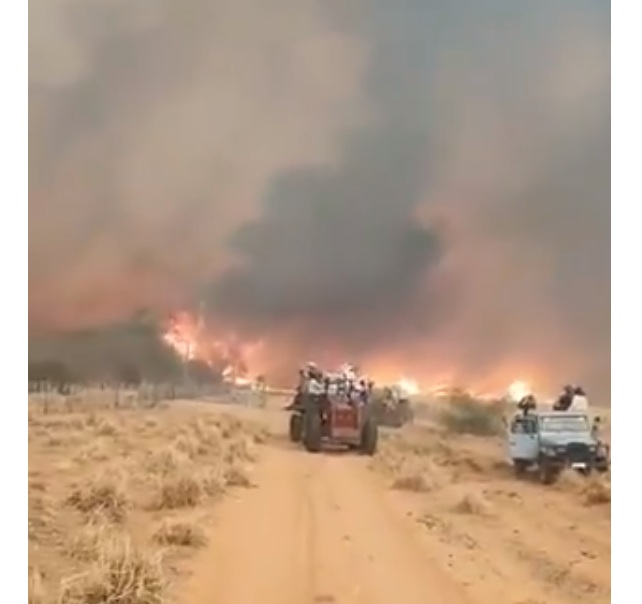 Productores de Alto Paraguay, desesperados ante avance del fuego: “Imposible luchar”