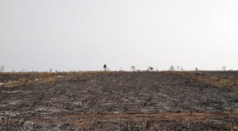 Comunidades indígenas son los que más sufren incendios en Chaco