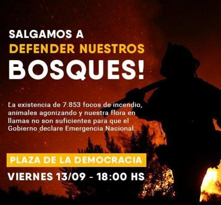 Ciudadanos marcharán exigiendo declaración de emergencia nacional por incendios