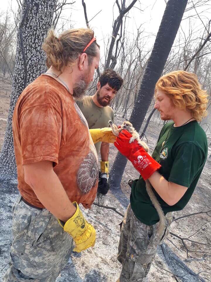 Consecuencias por incendio en Chaco “serán por mucho tiempo”