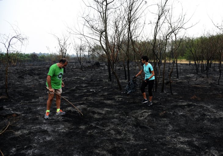 Iniciativa ambientalista de funcionarios de la SET busca reforestar Parque Guasu