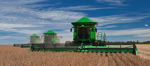 Productores esperan intensas lluvias para comenzar siembra