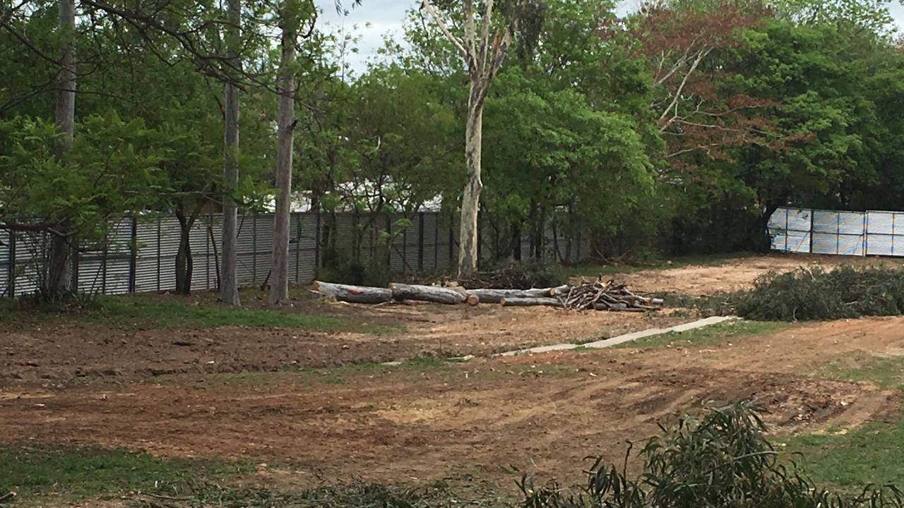 Construcción de Corredor Vial Botánico “es inconstitucional”, según activista