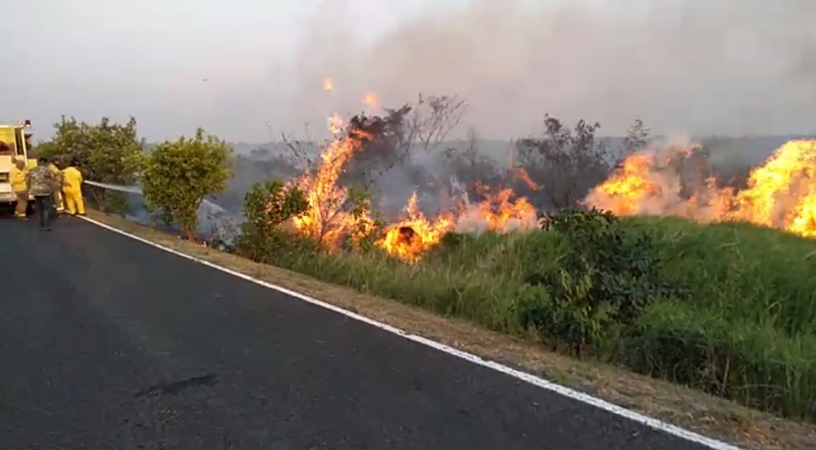 Incendio en Parque Guasu se originó por un “desliz”, según ministro