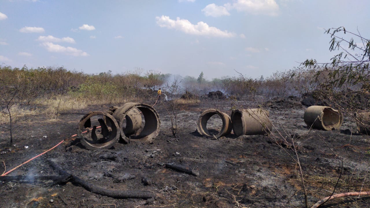 Más de 30 hectáreas fueron quemadas en el Parque Guasu tras incendios
