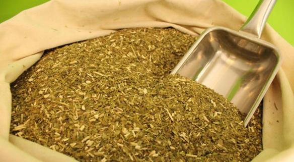 Productores no celebran Día Nacional de la Yerba Mate: Precios por el suelo y disminución del consumo