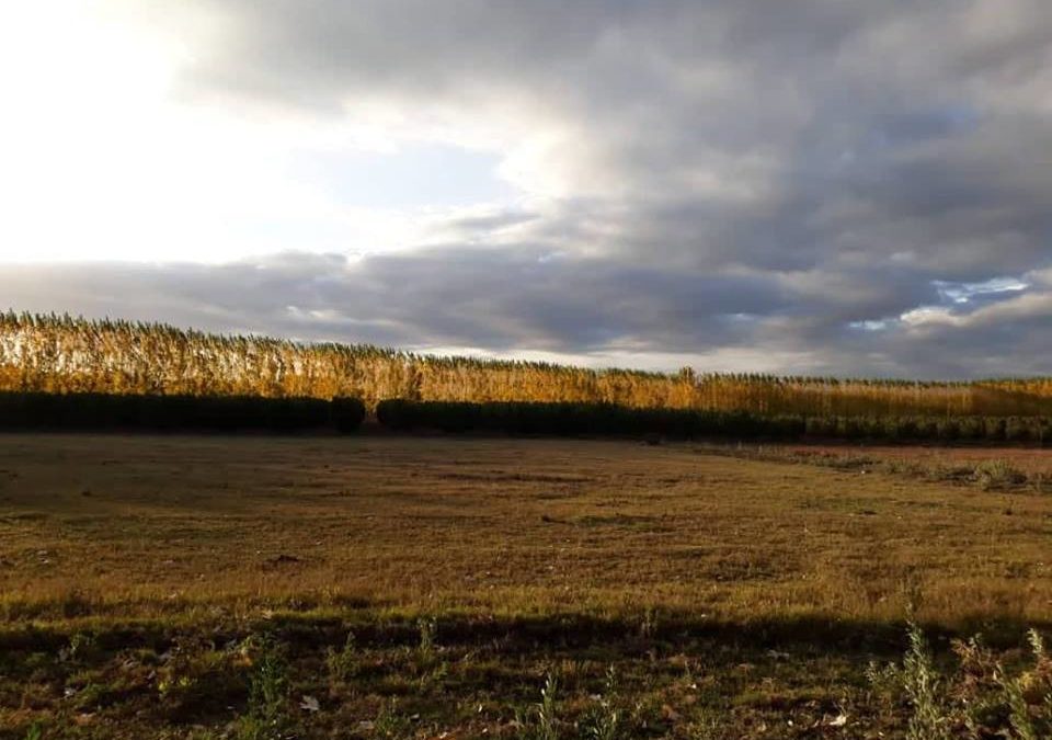 Domingo húmedo y caluroso, prevé Meteorología