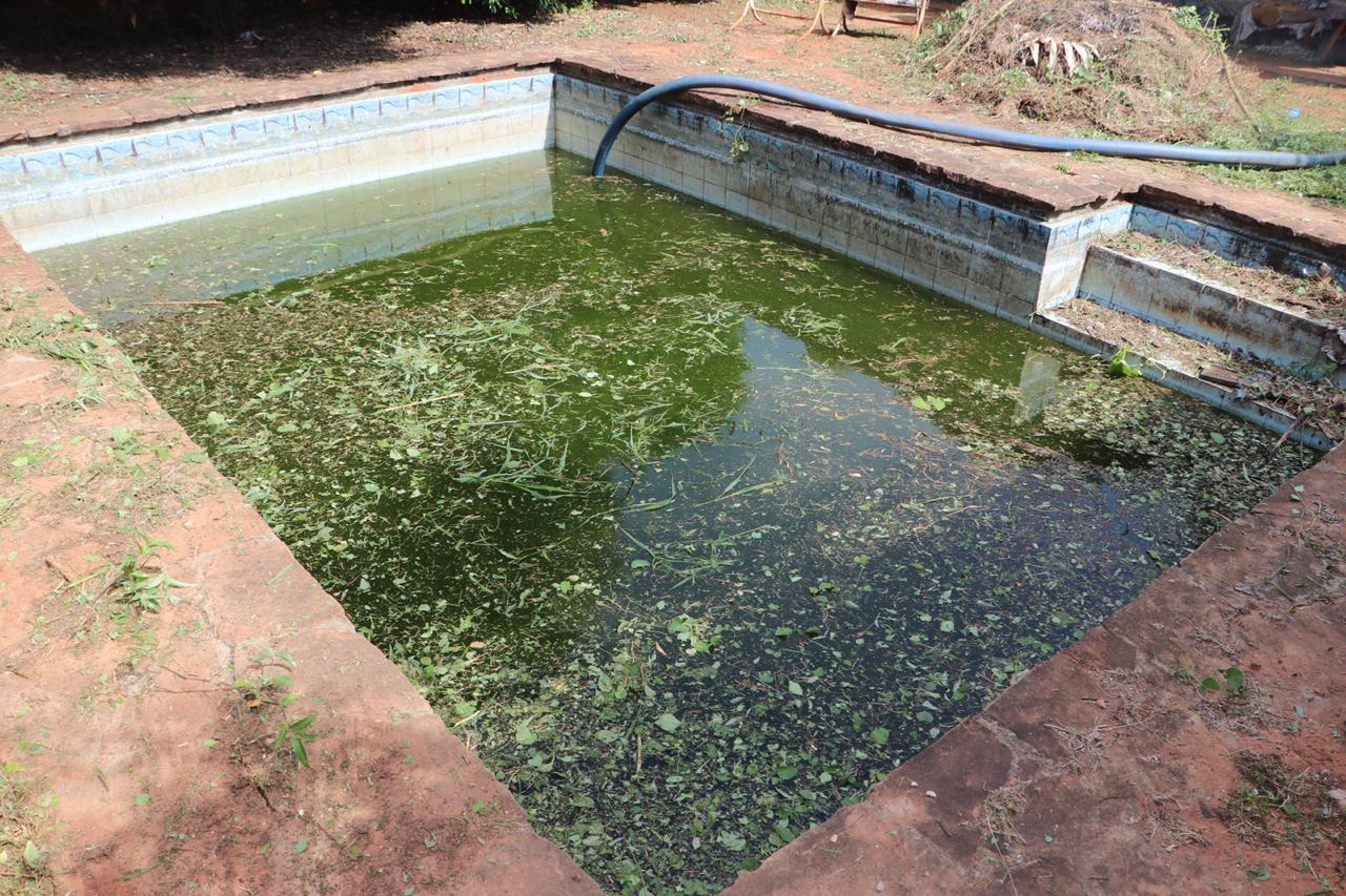 Fiscalía interviene tres casas en Lambaré denunciadas por acumulación de posibles criaderos de dengue.