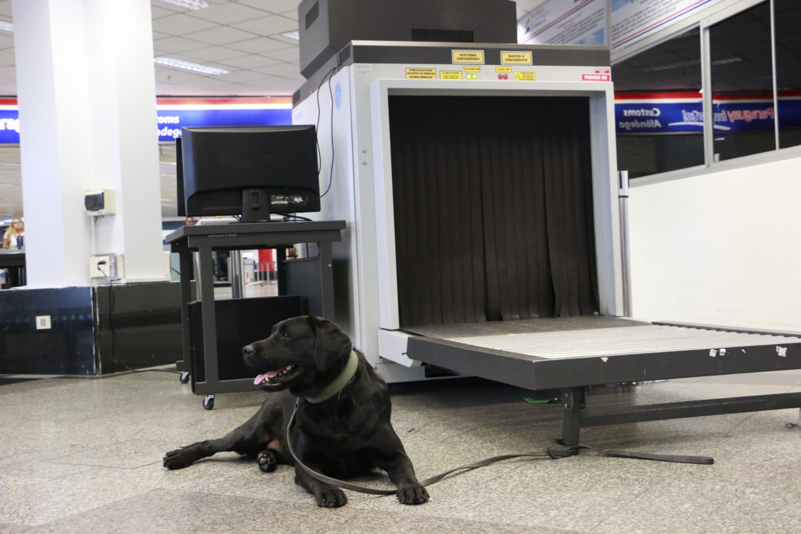 “Rocky” ayuda a incautar cerca de 8 kilos de cocaína en Aeropuerto Silvio Pettirossi.