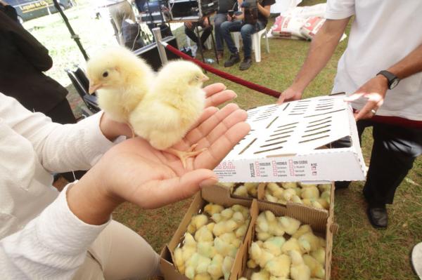 MAG entrega proyectos de desarrollo a familias productoras afectadas por inundaciones en Ñeembucú.