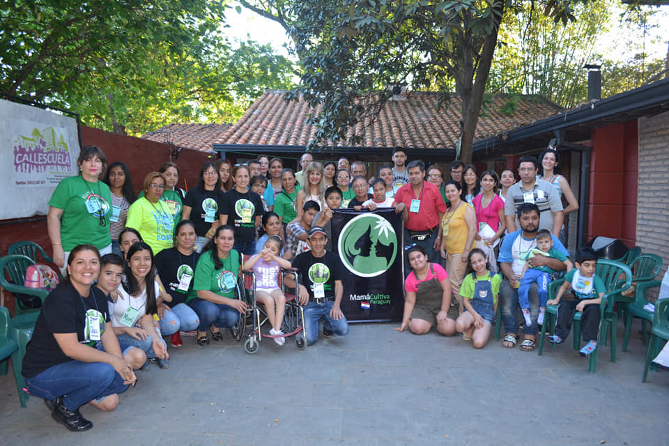 Activistas de cannabis medicinal apoyan otorgamiento de licencias: “Es un primer paso”