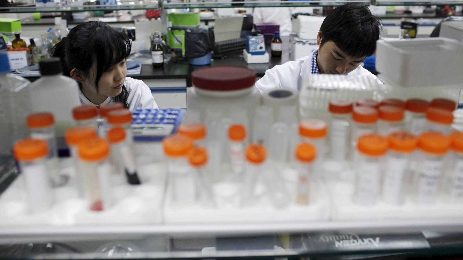Problemas de logística en China provocan dificultades en producción de fármacos