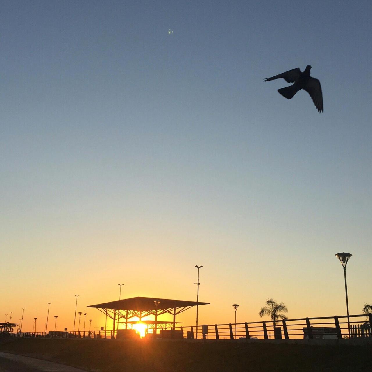 Meteorología anuncia un lunes muy caluroso