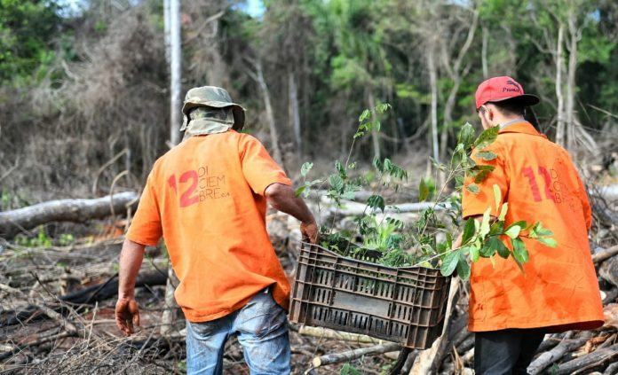 Despliegue logístico permite mantener seguridad y restaurar franja de protección de Itaipu en Puerto Indio
