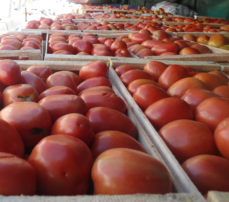 Productores frutihortícolas afectados por falta de ventas de tomates y bajos precios en el mercado