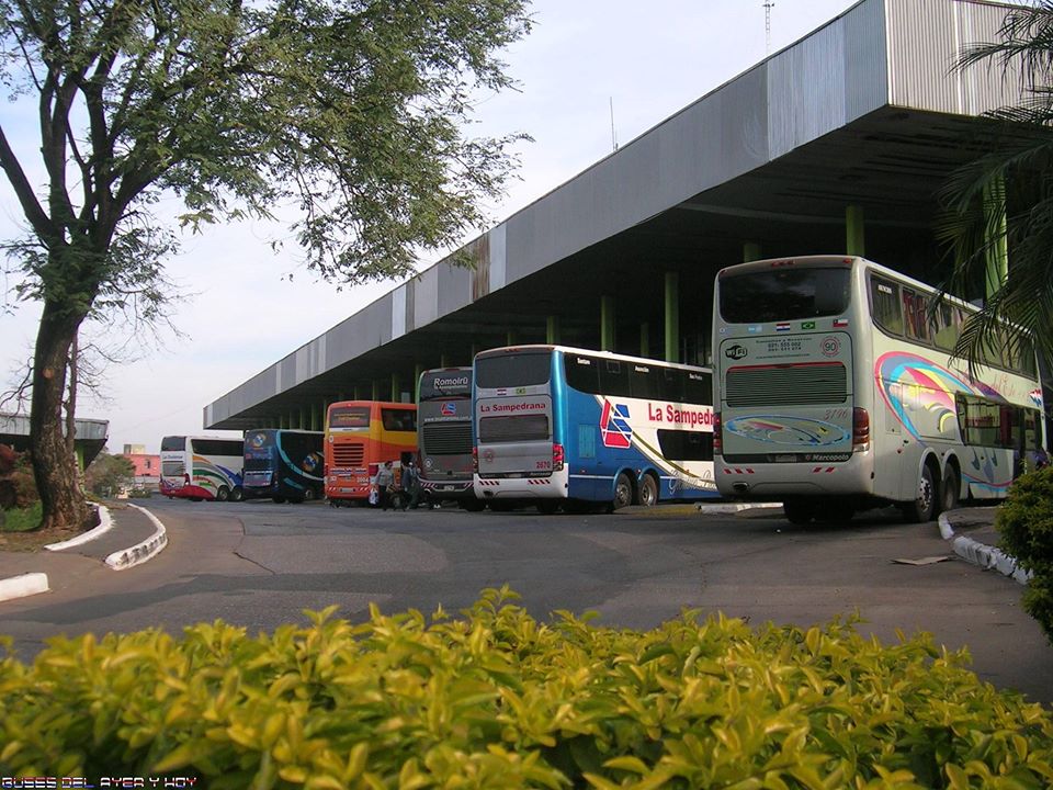 DINATRAN espera instrucciones de Salud sobre restricciones de circulación de buses
