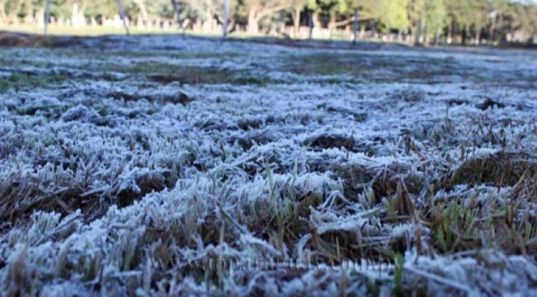 Agricultura: Heladas anunciadas para estos días generan preocupación en el campo