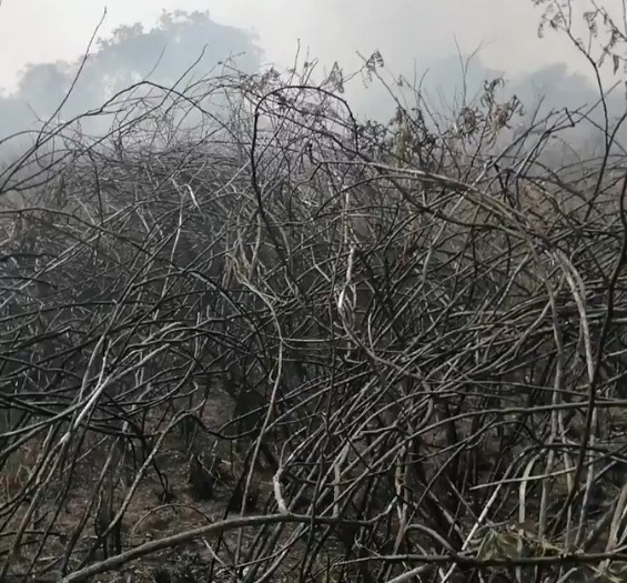 Humareda en Asunción se debe a quemazones