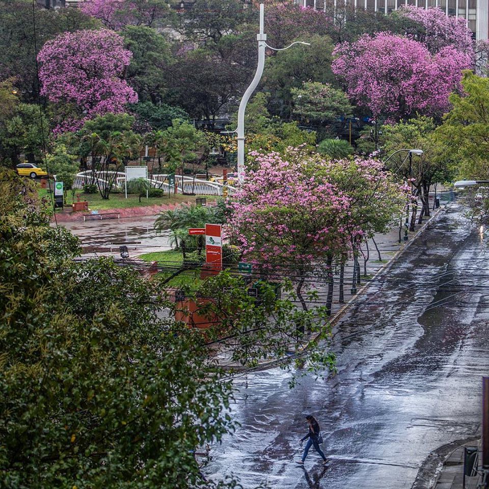 Viernes frío y con lluvias, anuncia Meteorología