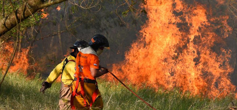 Habría 8.000 focos de incendio a nivel país, afirma Guyra Paraguay