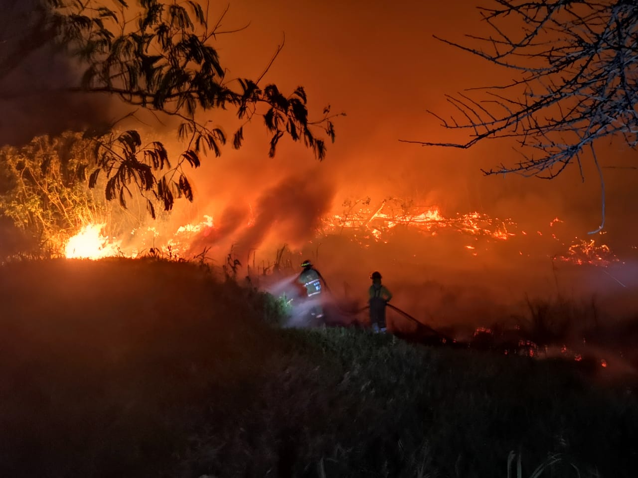 Incendios son provocados por personas que quieren seguir invadiendo zona de Costanera, asegura director