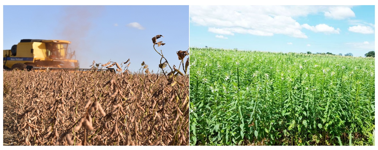 Actividad agrícola afectada por las intensas lluvias 