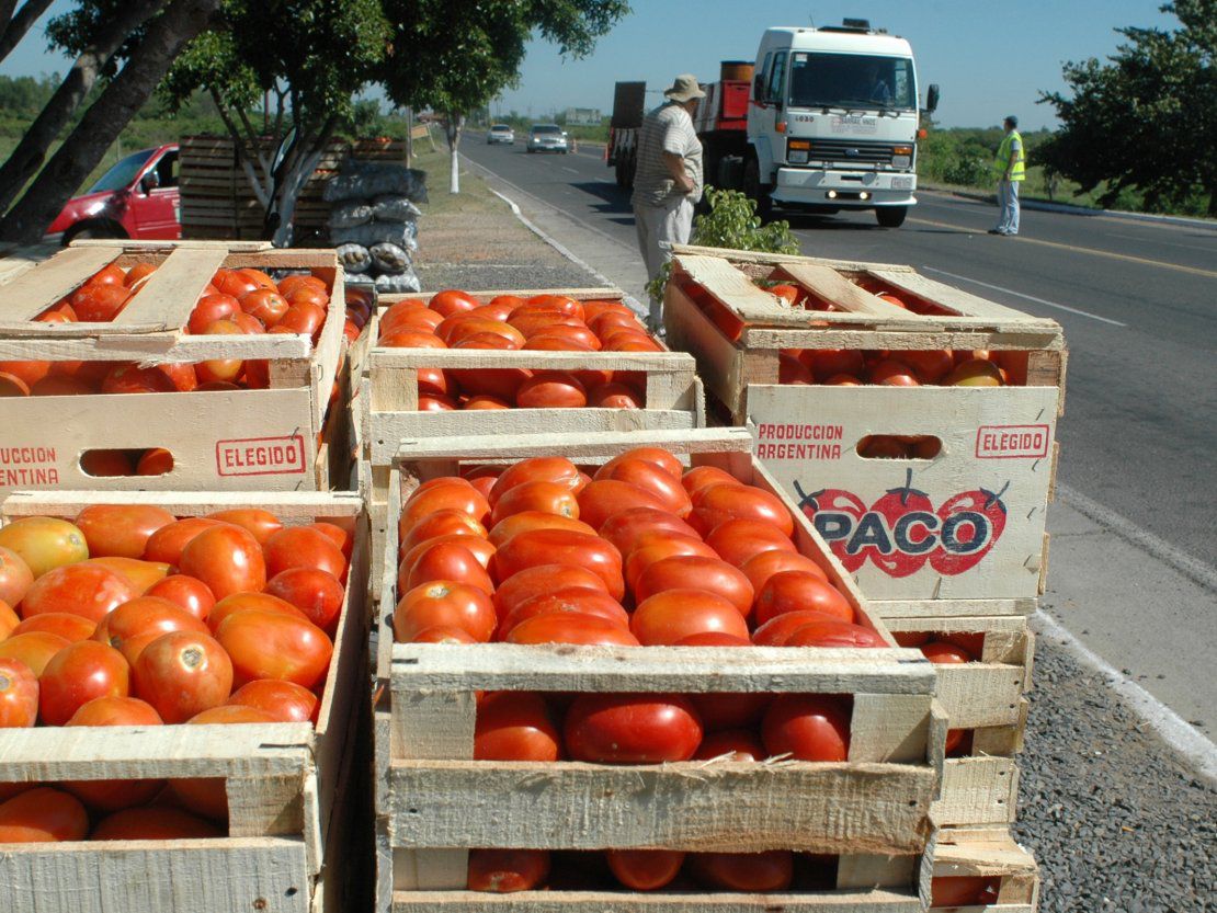 Reunión para determinar ingreso de tomates extranjeros ante reclamo de comerciantes