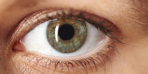 ojos córnea