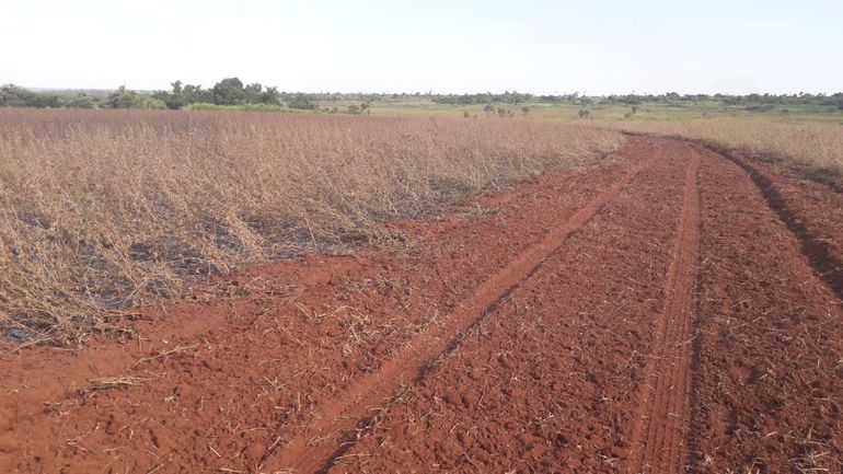 Comisión Verdad y Justicia: Millones de hectáreas de tierras malhabidas descubiertas y ninguna recuperada