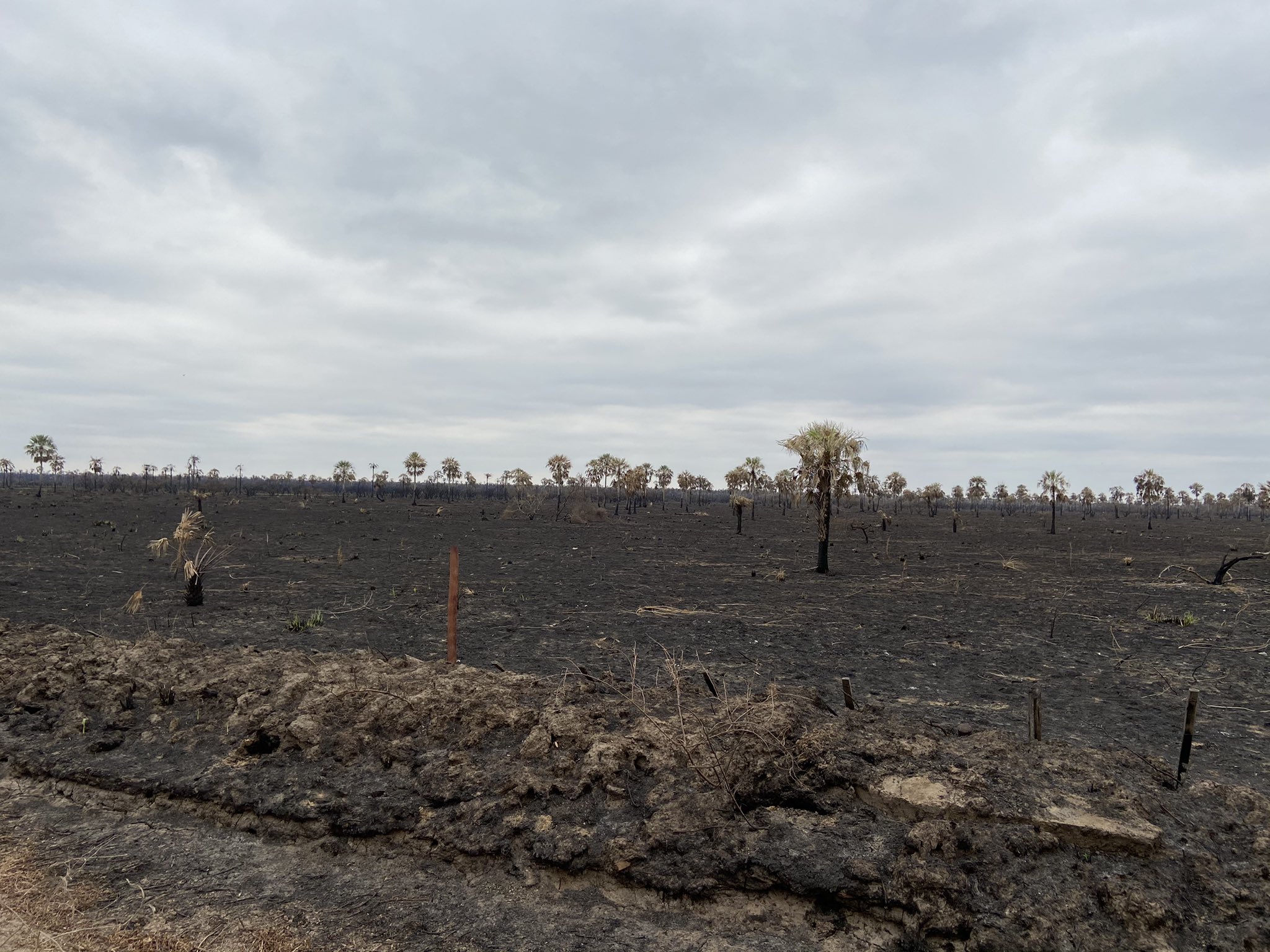 “Hay poblaciones del Chaco que hoy quedaron en la calle”: Diputada lamenta incendios en General Bruguez
