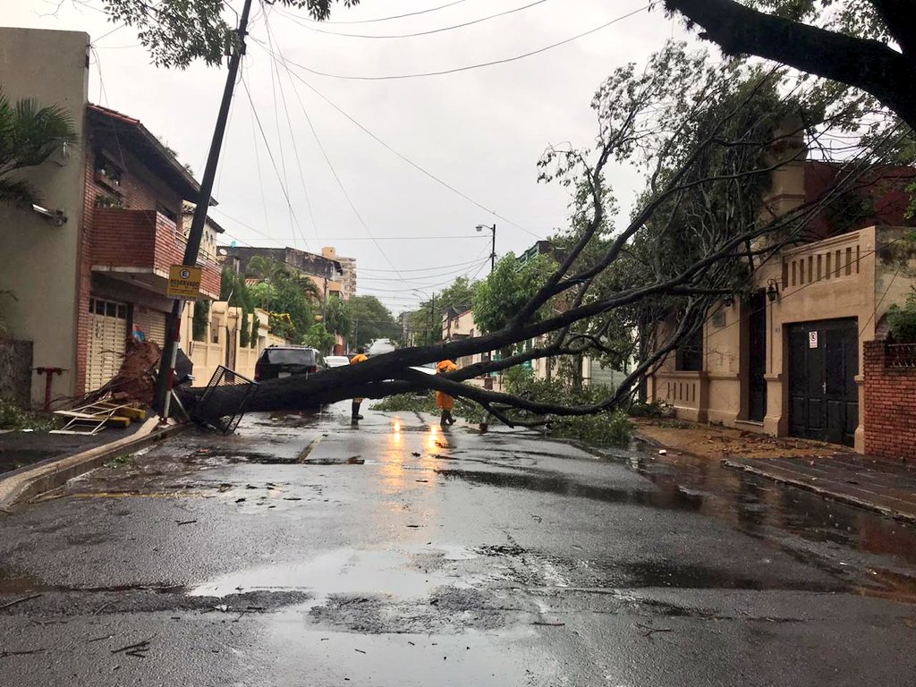 73 árboles caídos en Asunción tras fuerte temporal
