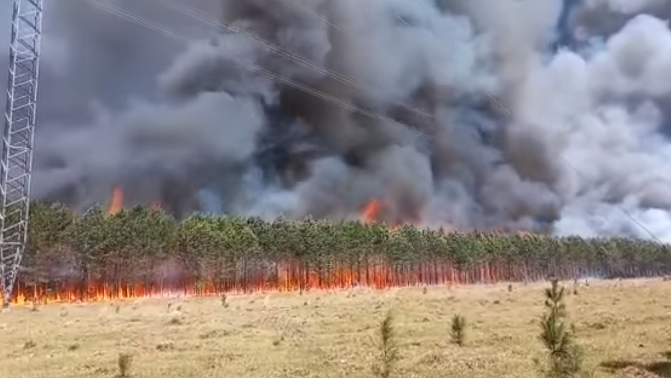 Lluvias ayudaron a aplacar incendios en Misiones