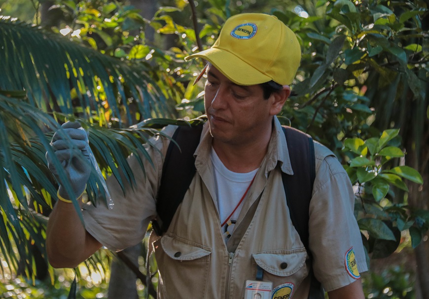 La lucha contra el dengue involucra a todos