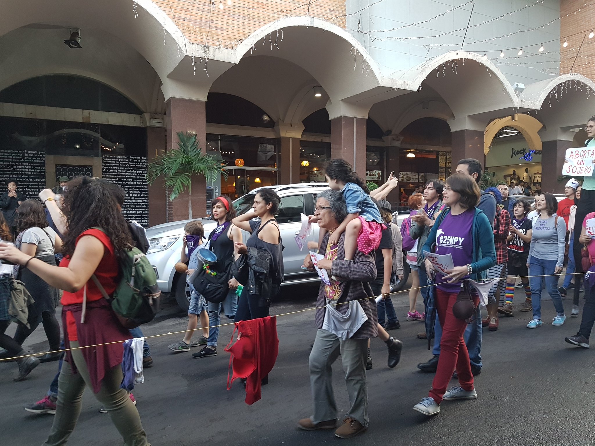 P-MAS organiza marcha “por los derechos humanos y contra el stronismo”