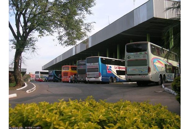 Buses de mediana y larga distancia suspenden viajes