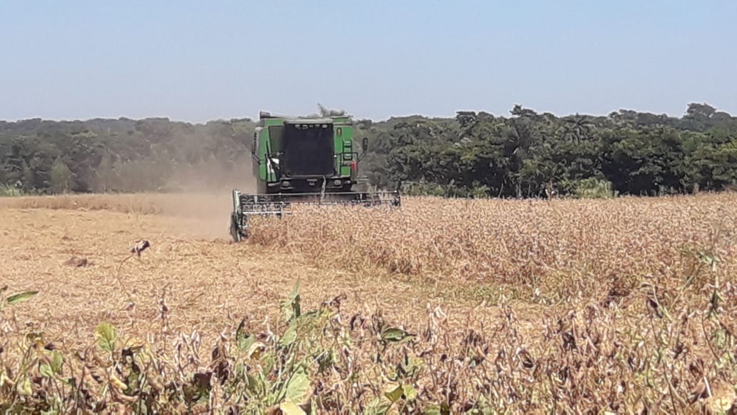 Empresarios productores piden eliminar politiquería y enfocarse en reactivación económica