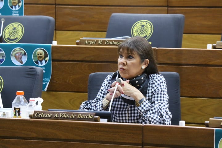 Juicio Político: “Van a rechazar el libelo acusatorio y enviar al archivo” lamenta diputada